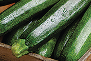 Zucchini Thumbnail