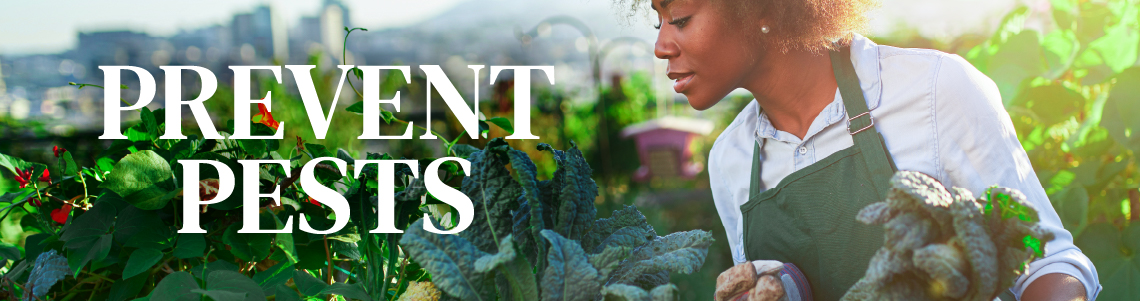 Prevent Pests