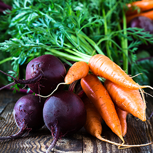 Safeguard your Garden