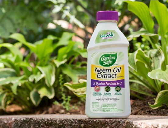 Give Neem Oil A Chance