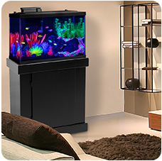 black light fish tank accessories Aqueon 55 Gallon LED Aquarium Kit The slices are much easier than glass so that the site of the aquarium can be easily changed at any time Floating Aquarium Halloween Hoop -