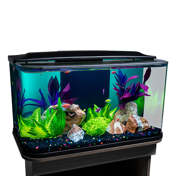 GloFish Glass Aquarium Kit, 20 Gallons - Aquascaped Tank