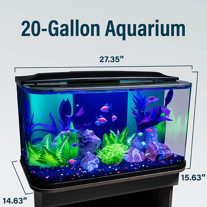 GloFish Glass Aquarium Kit, 20 Gallons