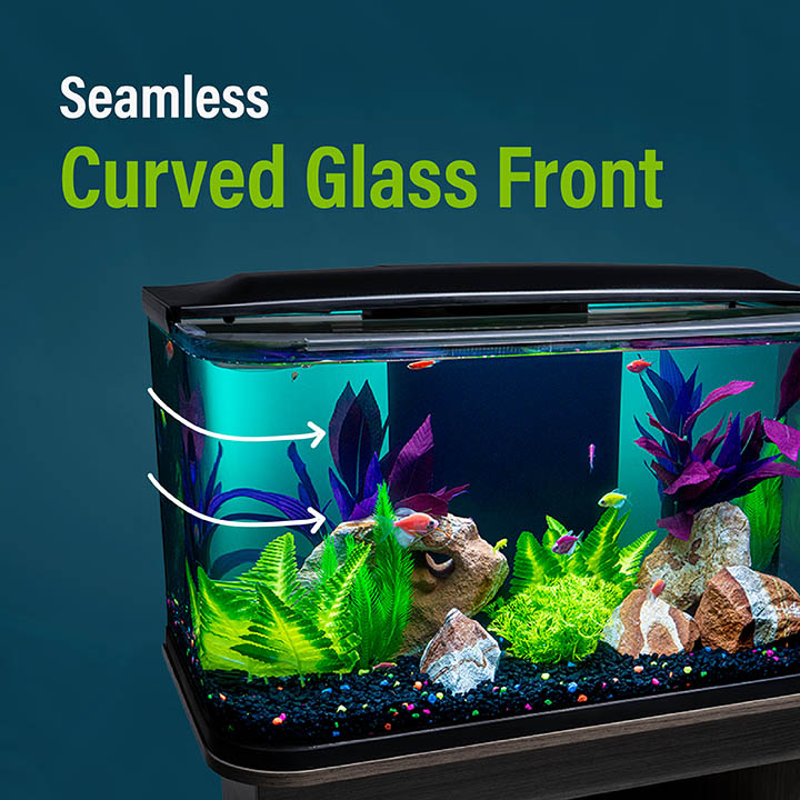 Seamless Curved Glass Front