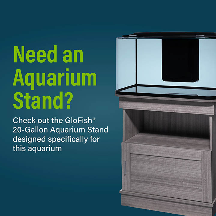 Need an Aquarium Stand? Check out the GloFish® 20-Gallon Aquarium Stand designed specifically for this aquarium