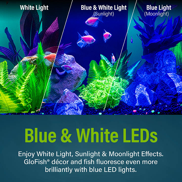 Blue & White LEDs Enjoy White Light, Sunlight & Moonlight Effects. GloFish® décor and fish fluoresce even more brilliantly with blue LED lights.