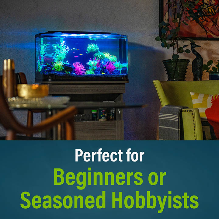 Perfect for Beginners or Seasoned Hobbyists