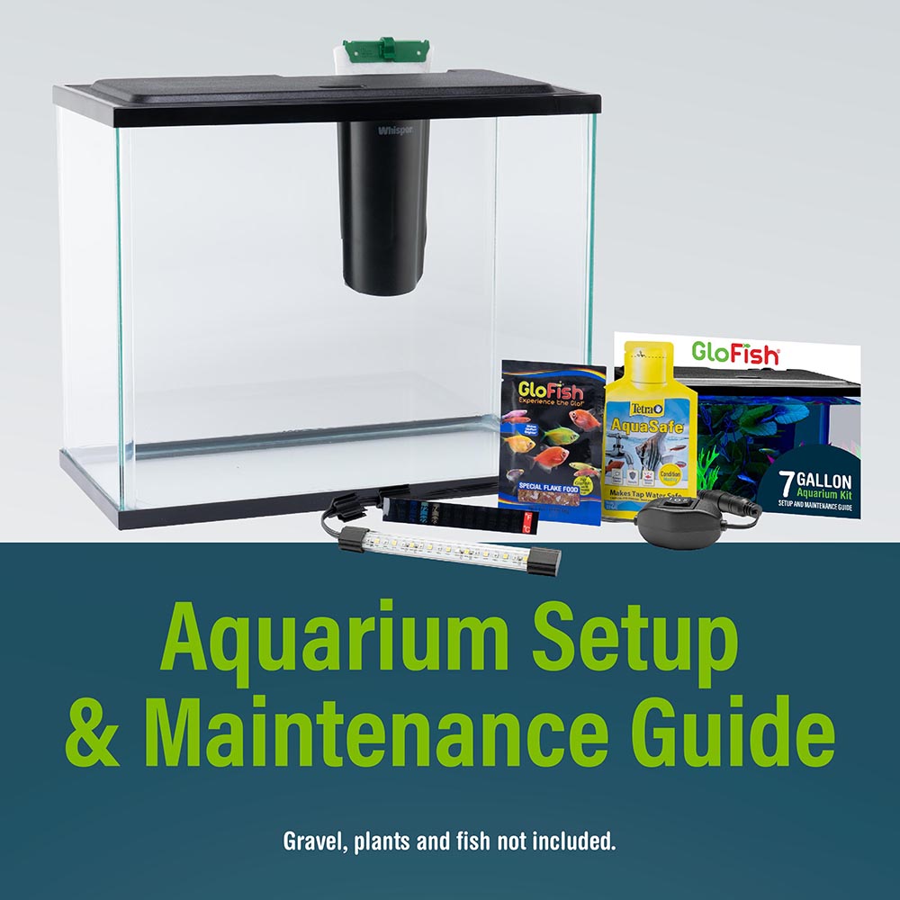 NV33841 GloFish Aquarium Kit, 6.6 Gallons, Includes Blue & White LED Lights - Setup Guide