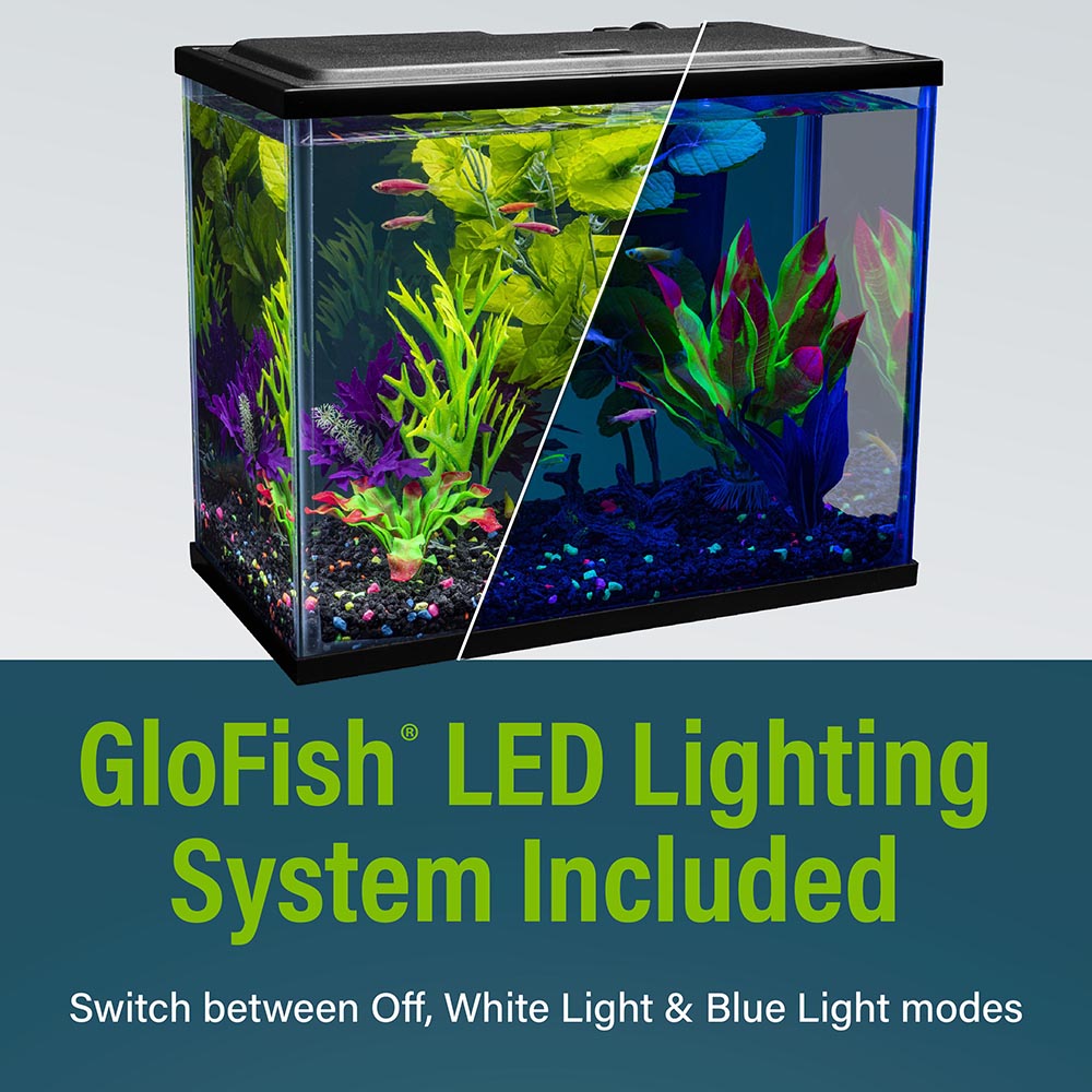 NV33841 GloFish Aquarium Kit, 6.6 Gallons, Includes Blue & White LED Lights - LED Lighting System Included