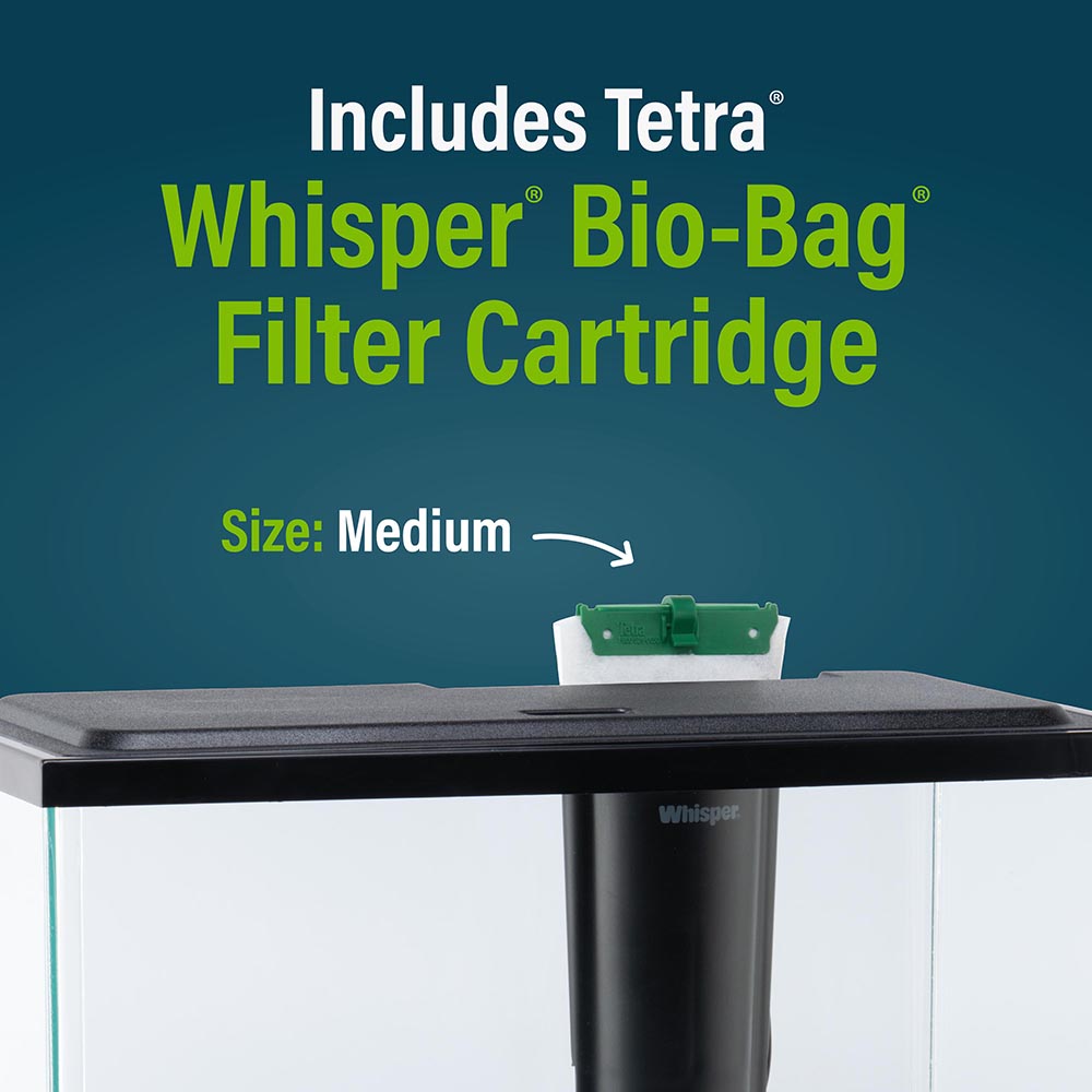 NV33841 GloFish Aquarium Kit, 6.6 Gallons, Includes Blue & White LED Lights - What it Includes