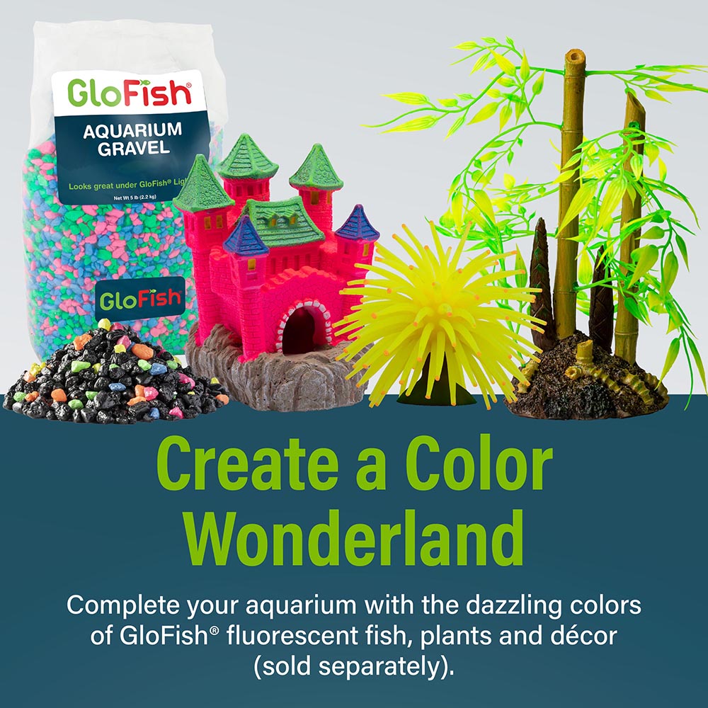NV33841 GloFish Aquarium Kit, 6.6 Gallons, Includes Blue & White LED Lights - Create a Color Wonderland