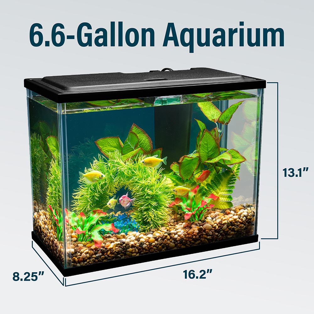 NV33841 GloFish Aquarium Kit, 6.6 Gallons, Includes Blue & White LED Lights - Scale