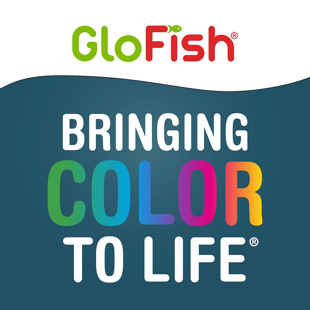 NV33841 GloFish Aquarium Kit, 6.6 Gallons, Includes Blue & White LED Lights - Bringing Color to Life