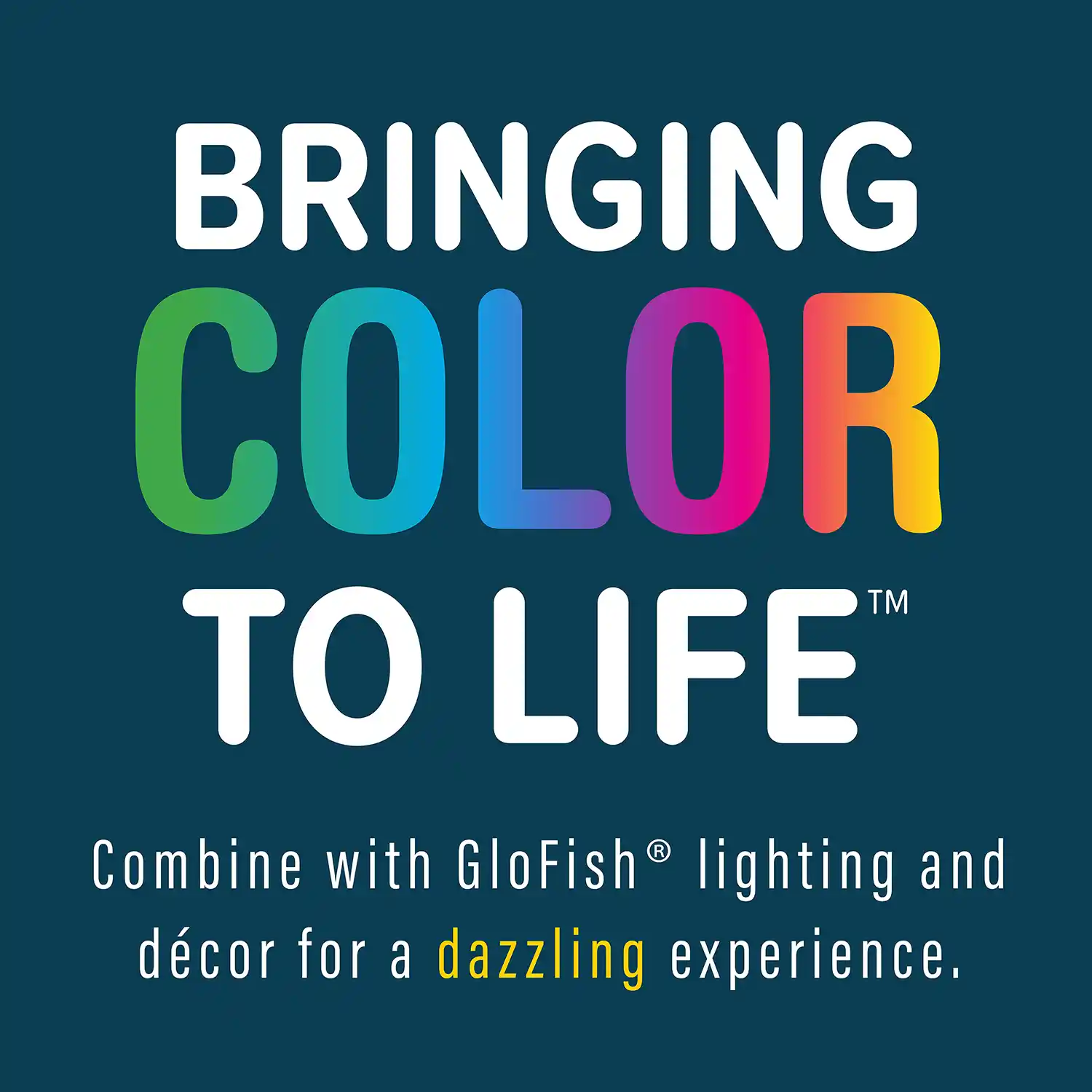 BRINGING COLOR TO LIFE™ Combine with GloFish® lighting and décor for a dazzling experience.