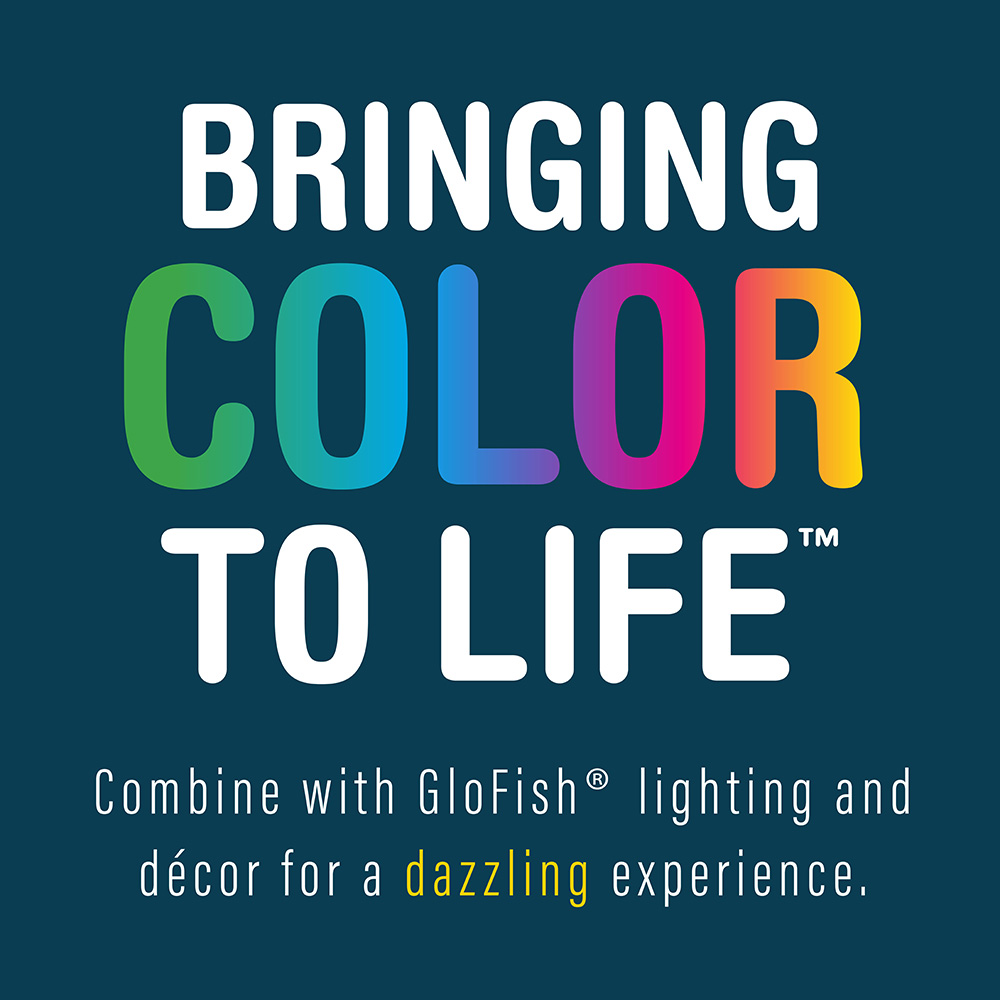 bringing color to color