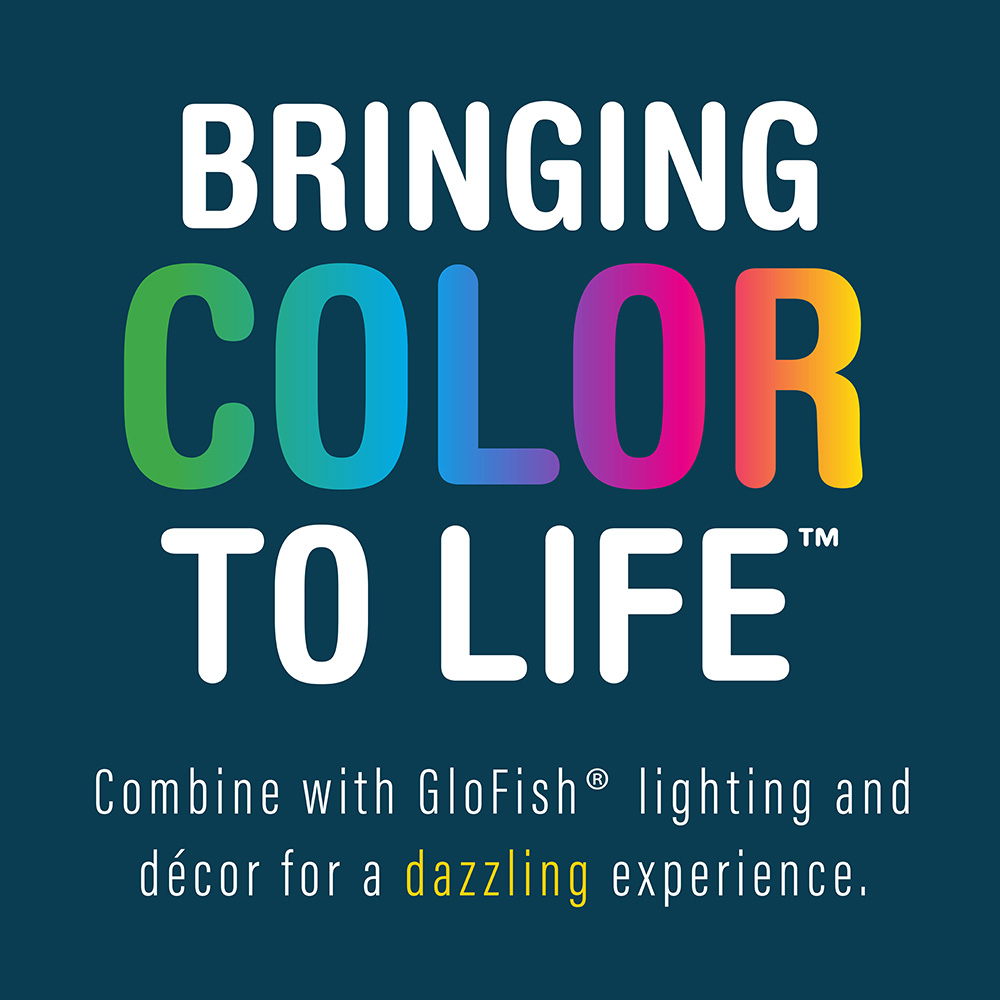 bringing color to life