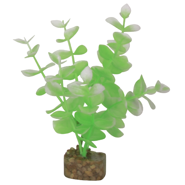 GloFish Cycle Plant Green and White Small