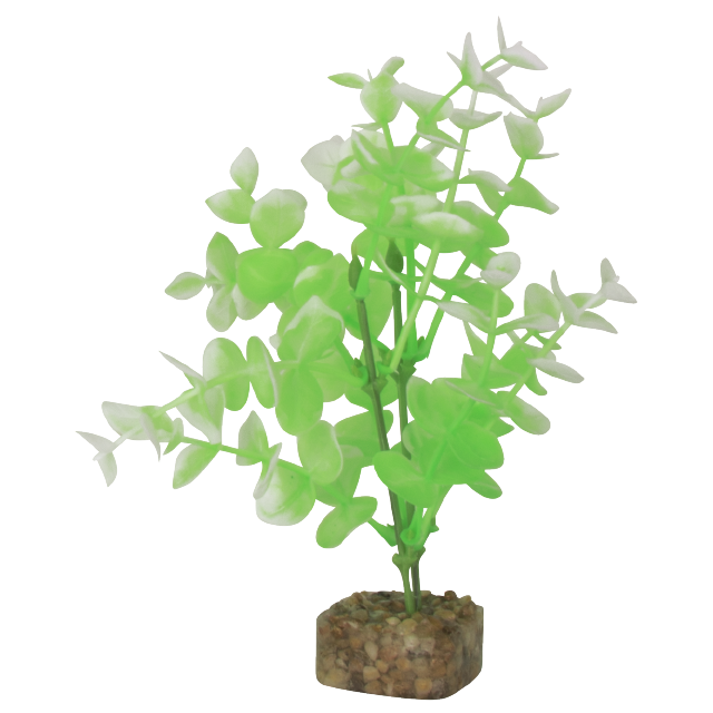 GloFish Cycle Plant Green and White Med