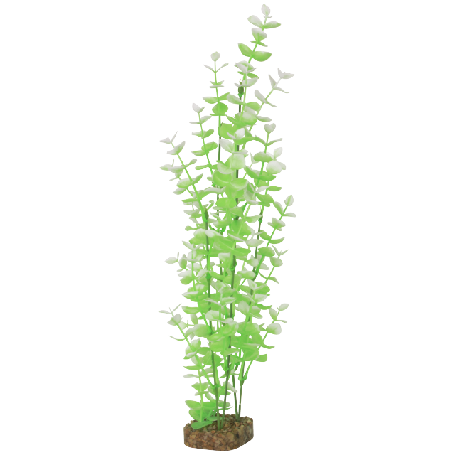 GloFish Cycle Plant Green and White XL