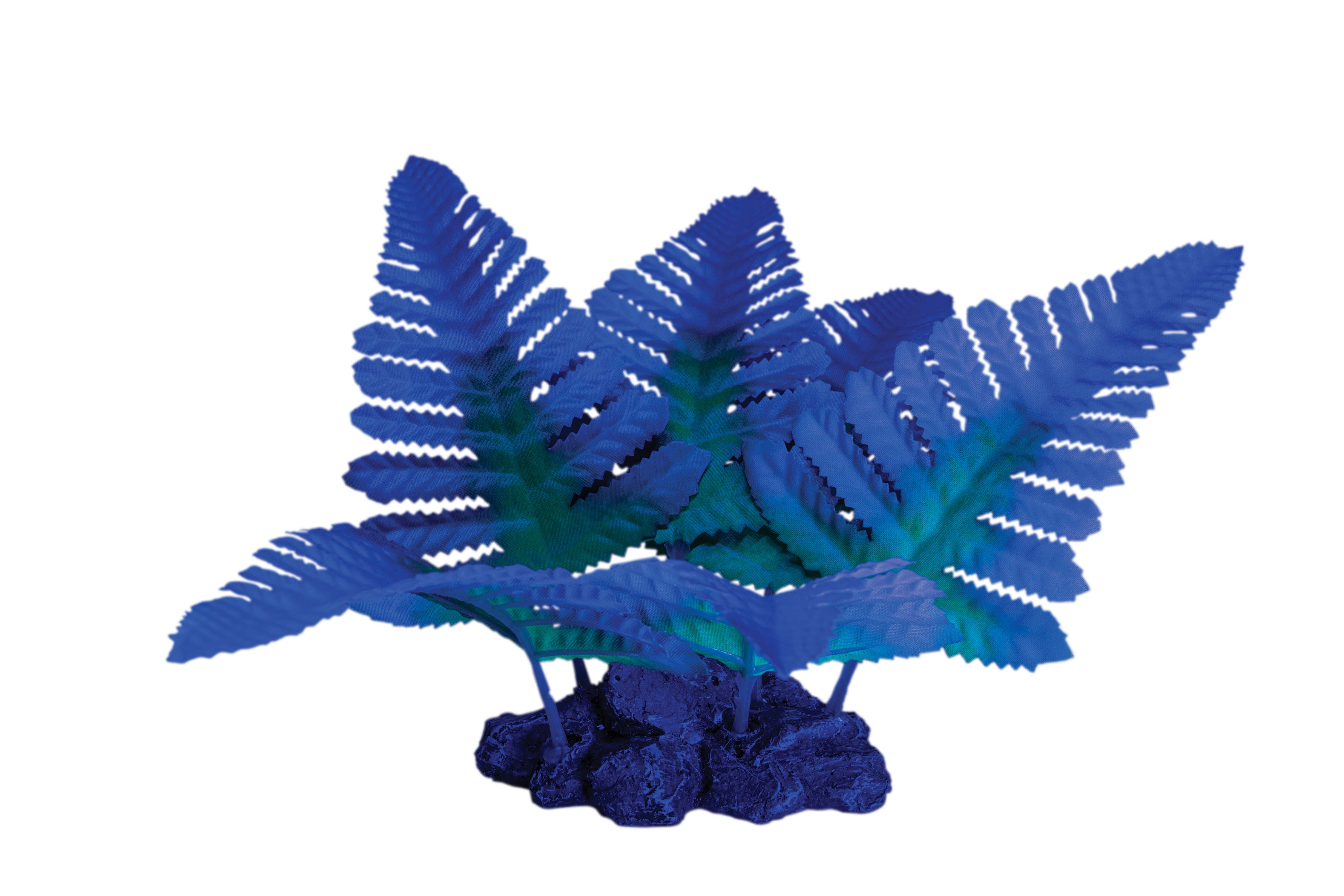 AQ 78466 Fern Plant Blue