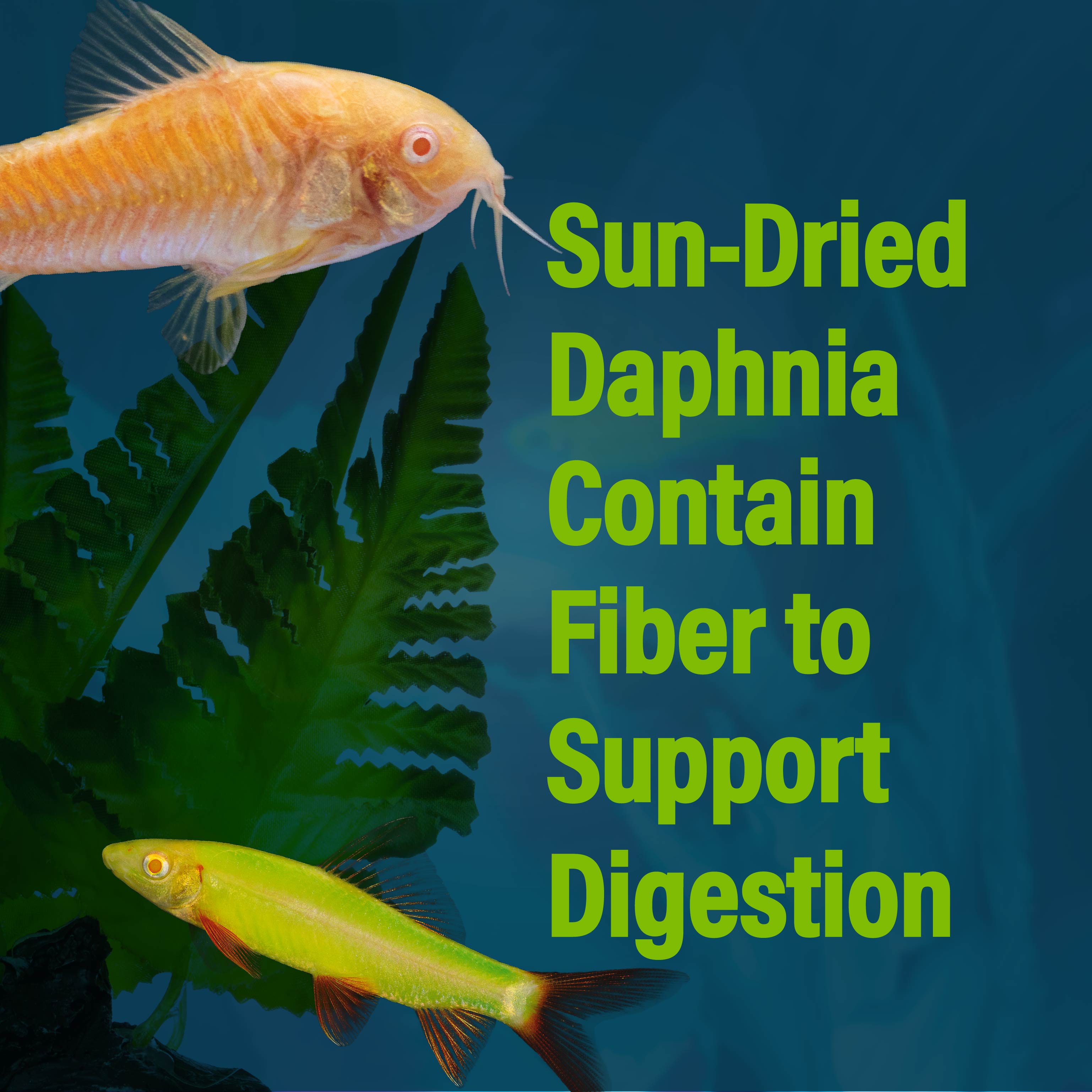 contains fiber to support digestion