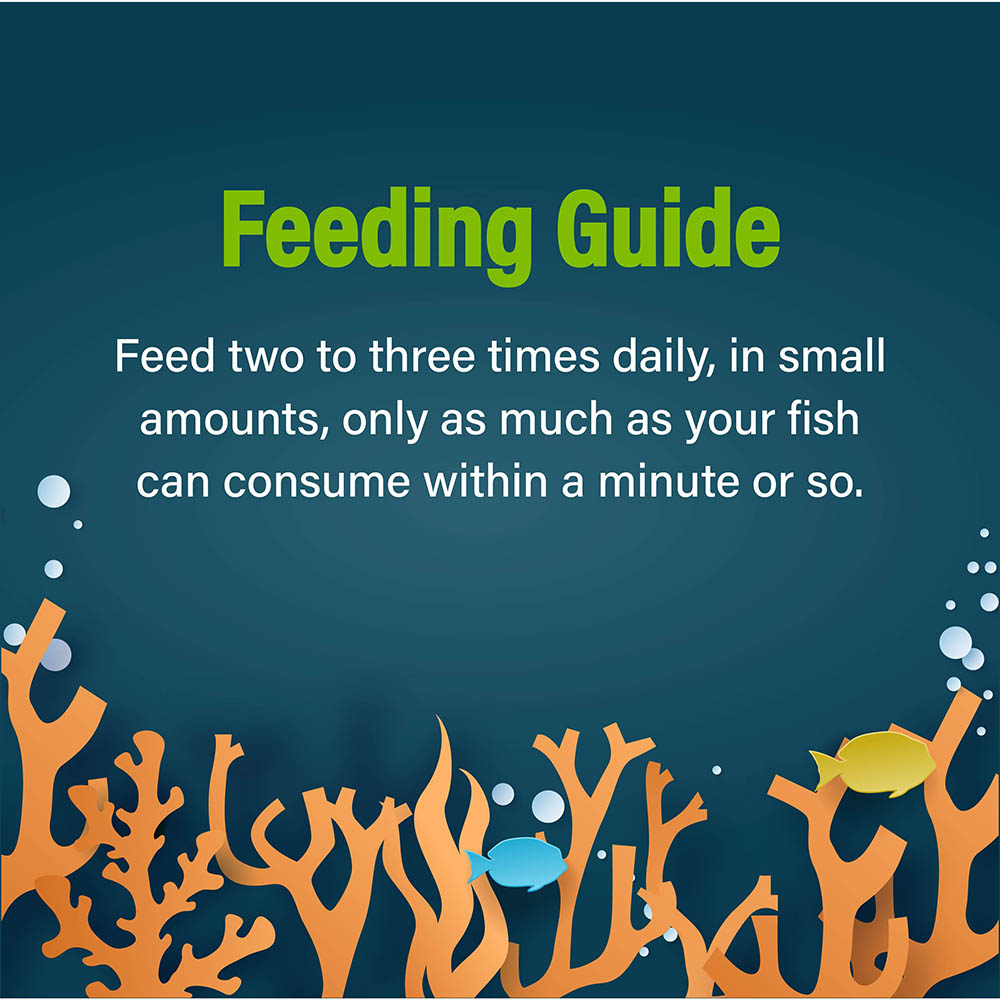 feeding guide