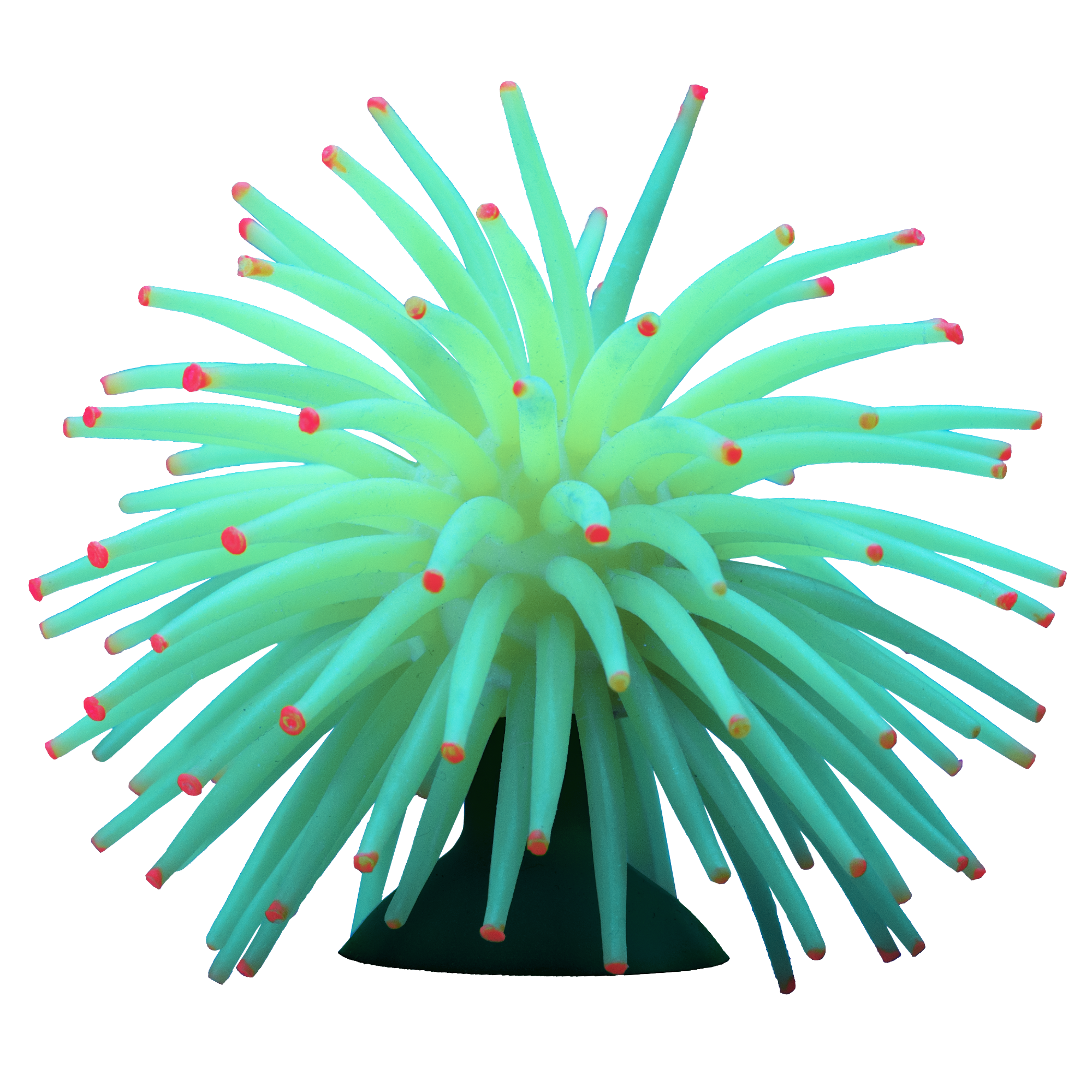 AQ78446 Green Blue Light 