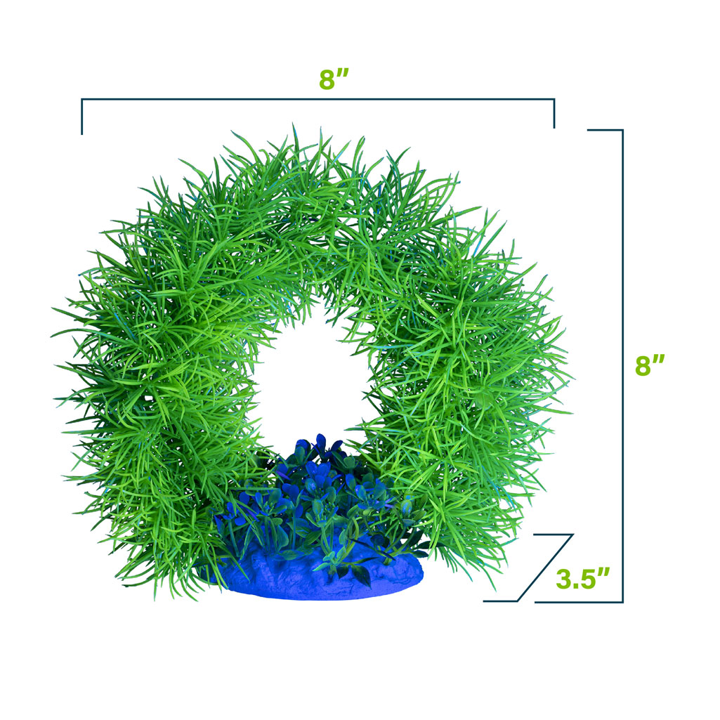 Arch Plant Blue Light Scale