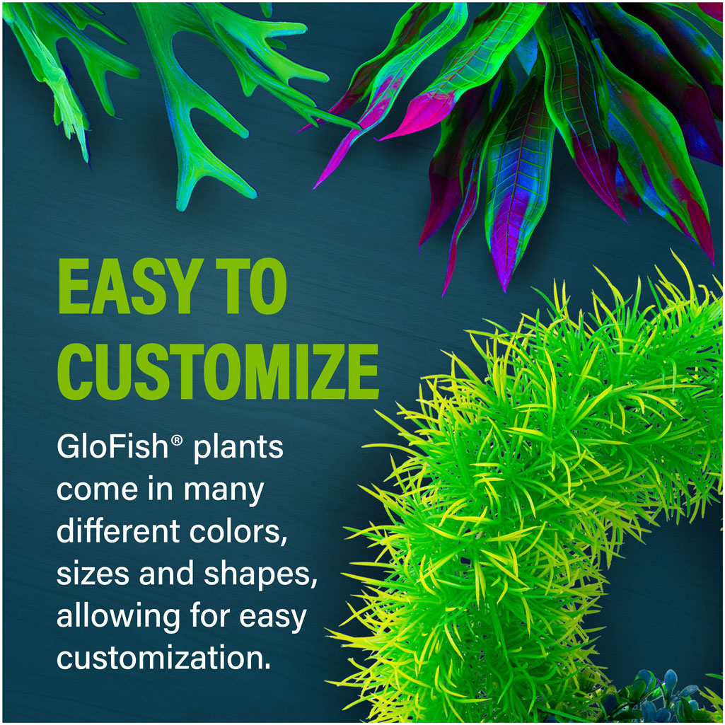 Arch Plant Customize