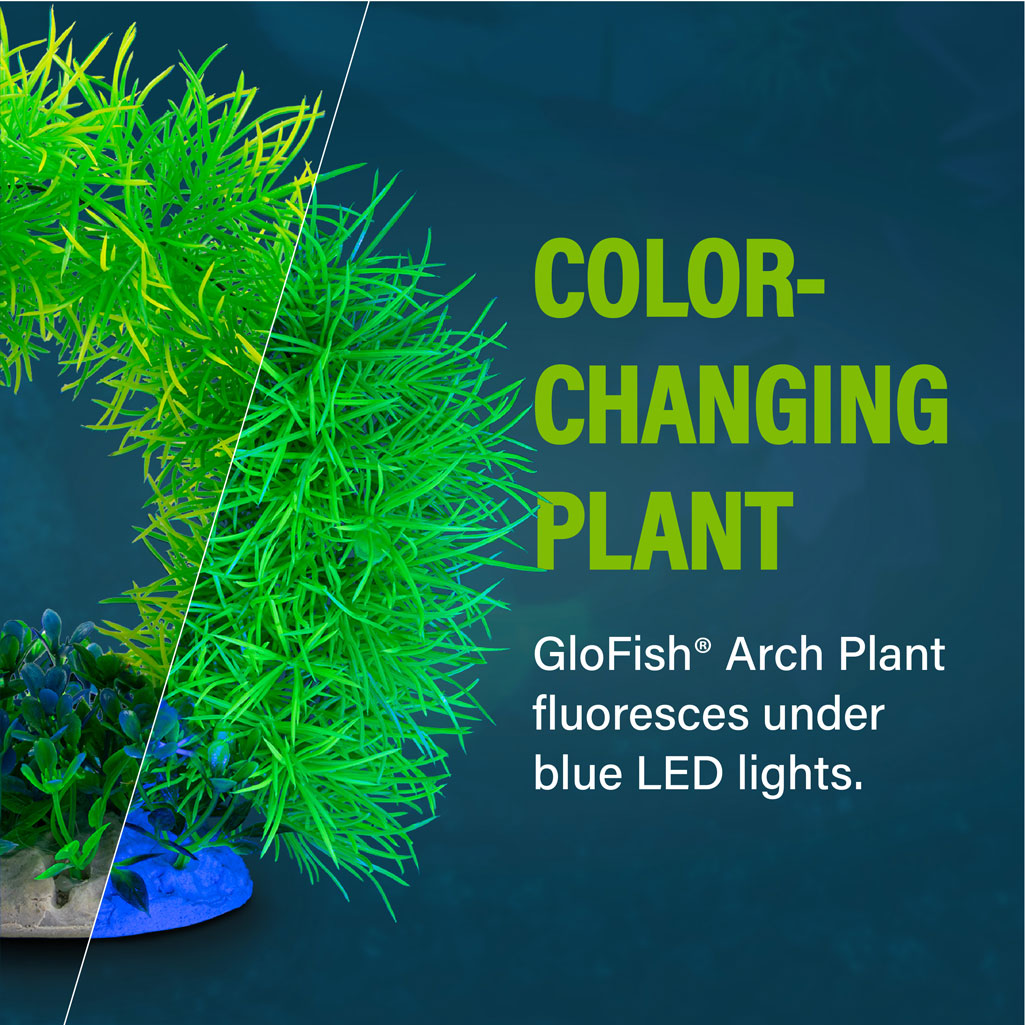 Arch Plant Description 