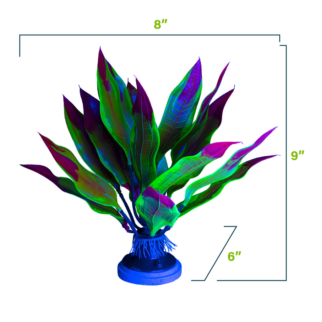 Kelp Leaf Plant Blue Light Scale