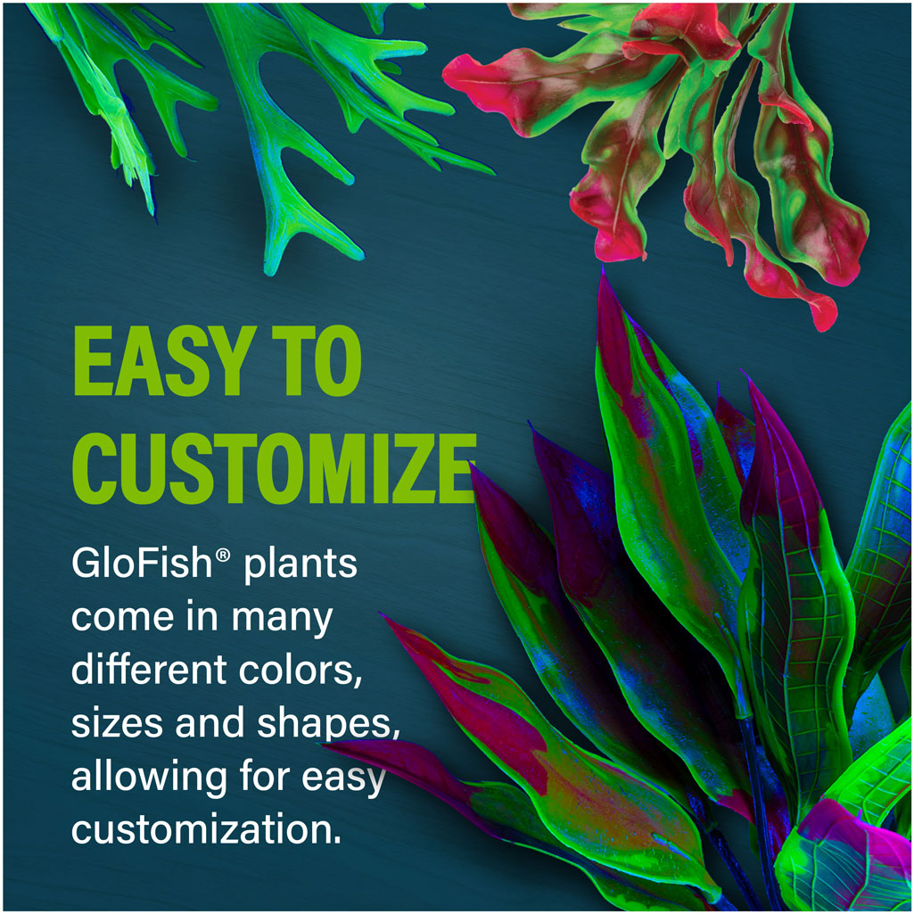 Kelp Leaf Plant Customize