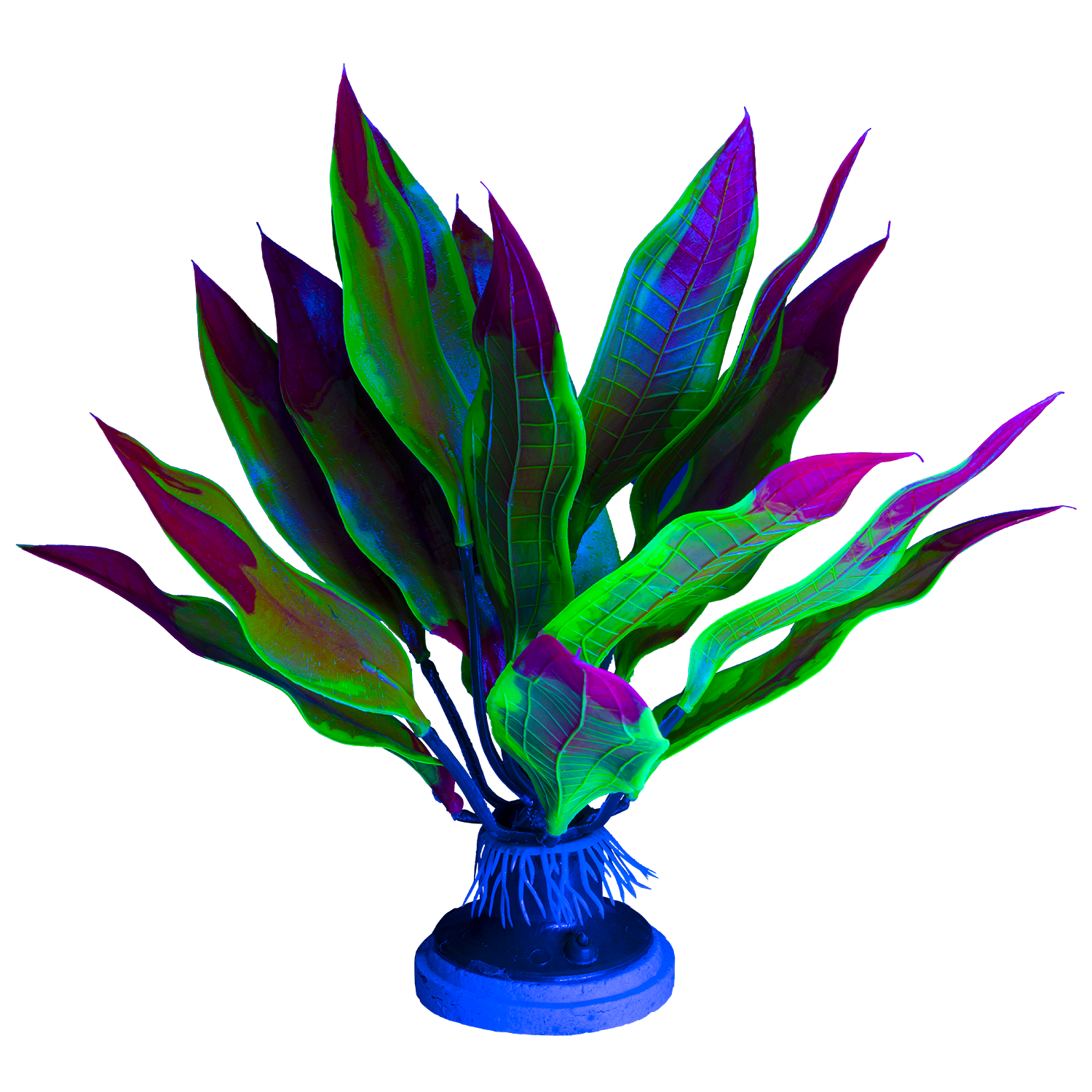 Pink Green Large Blue Lights