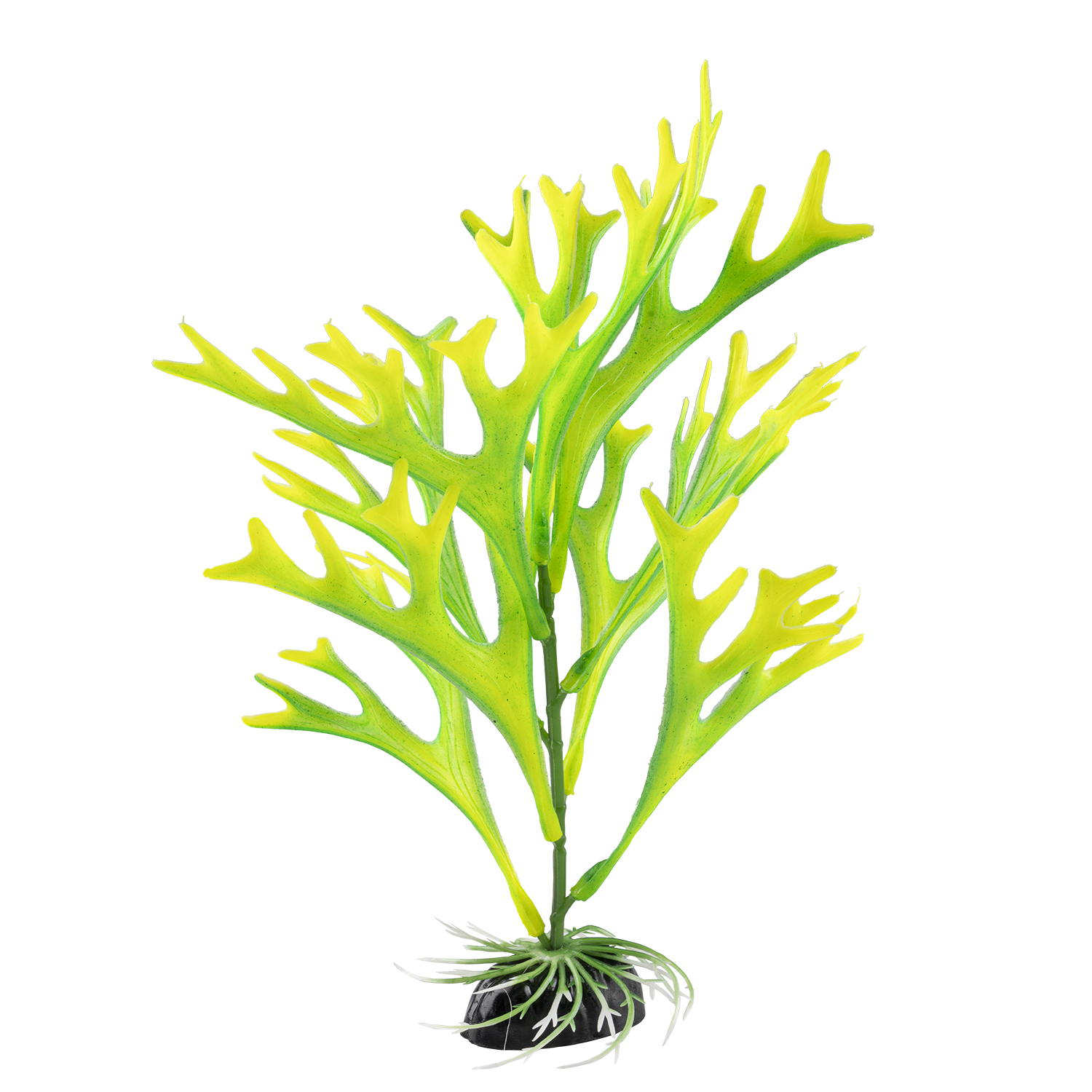 GF Petco Plant White 