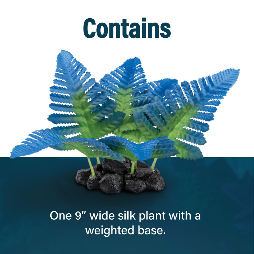 Fern Plant Contains