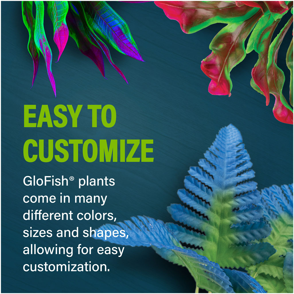 Fern Plant Customize