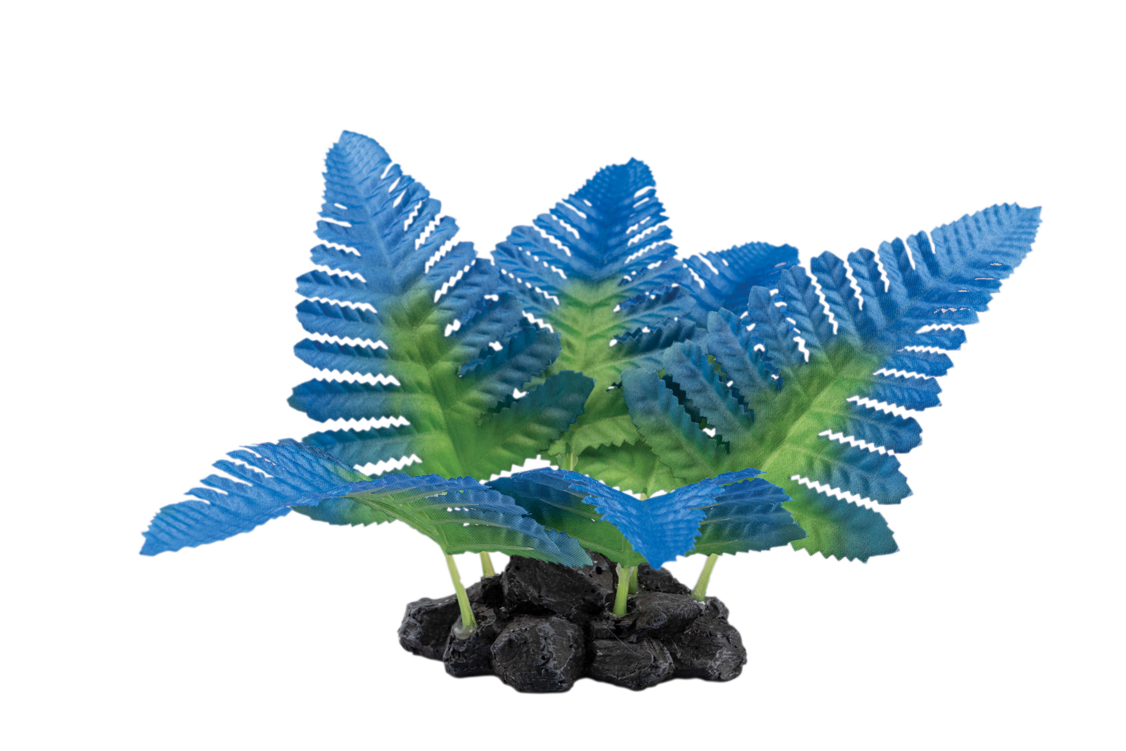 AQ78466 Fern Plant White