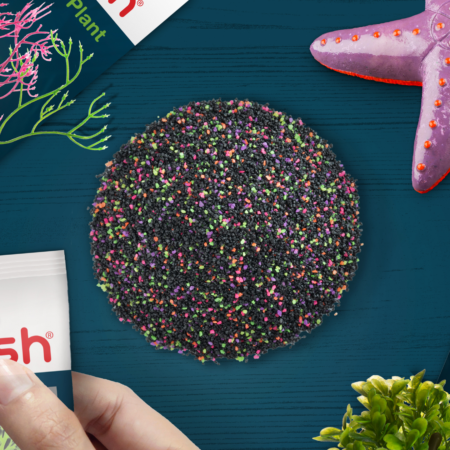 AQ78485A_OOP_Environment