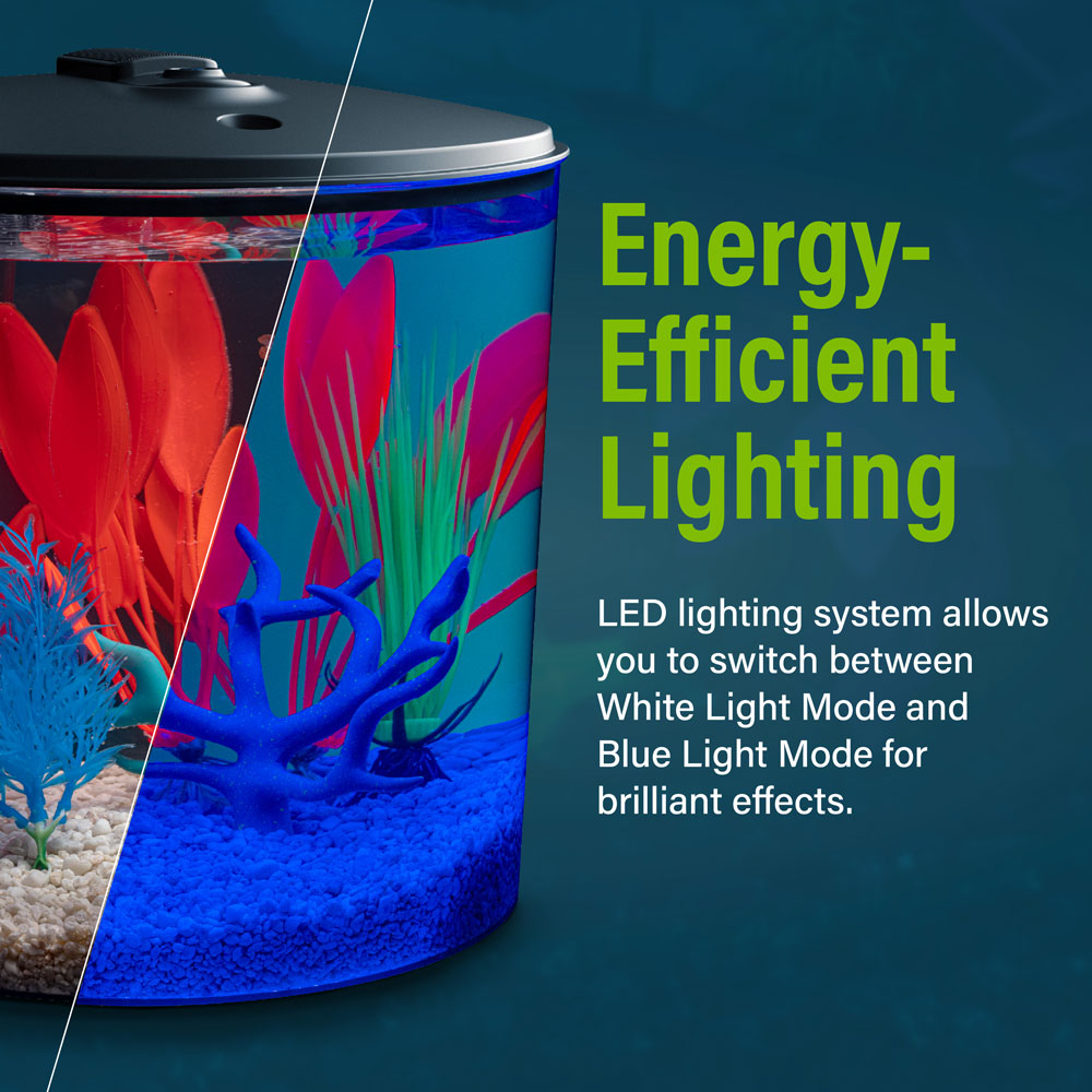 AQ78613_01_Directions