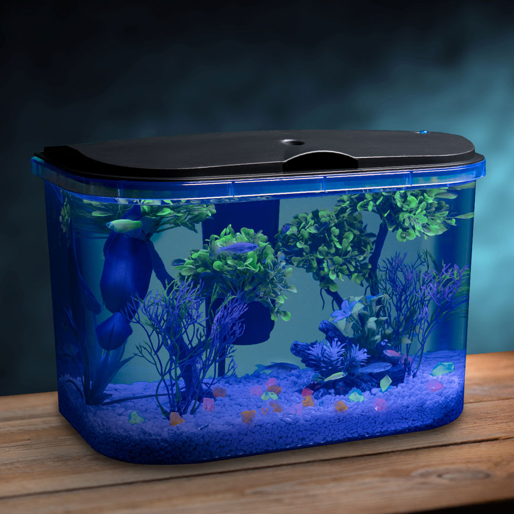 AQ78614_04_OOP_Environment