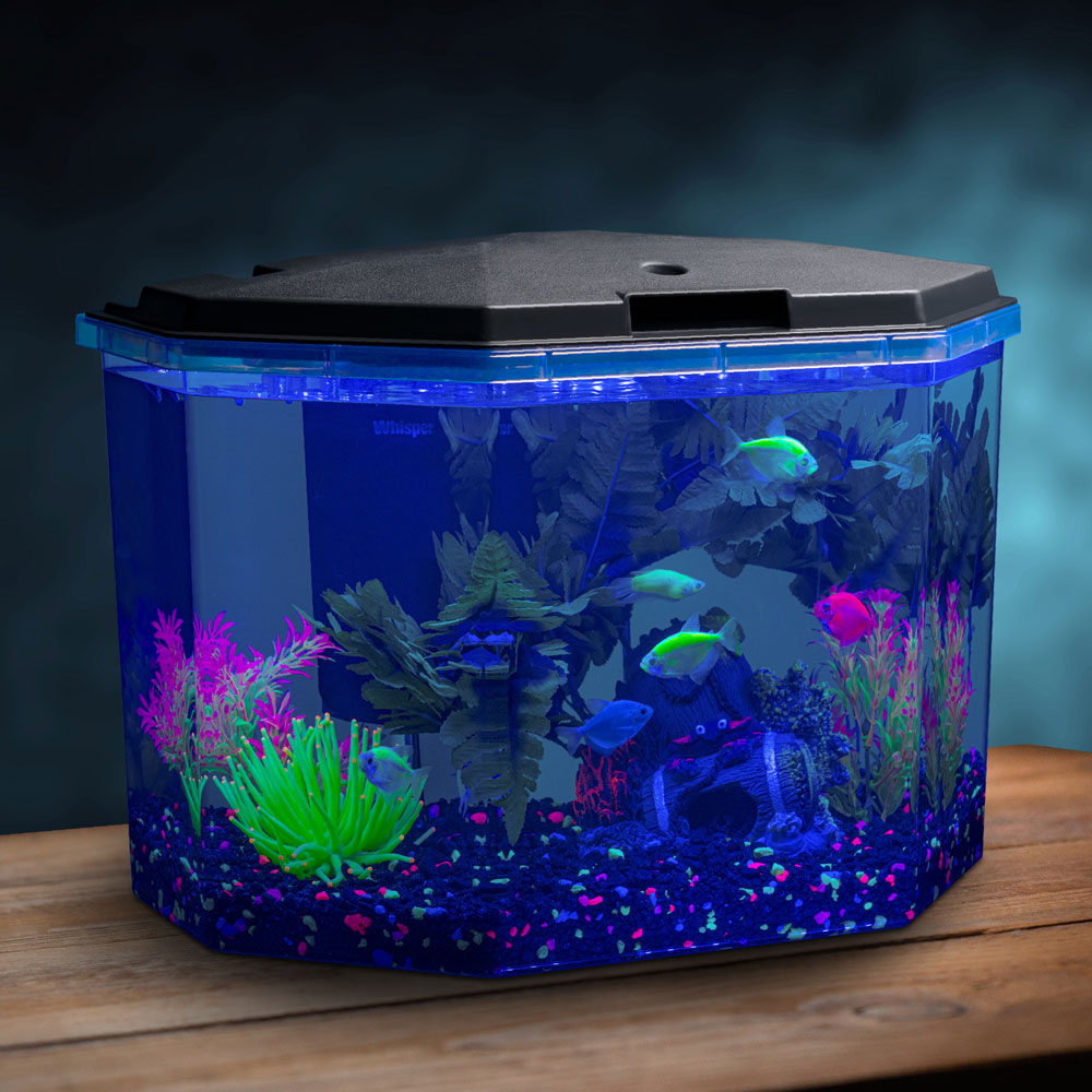 AQ78615_04_OOP_Environment