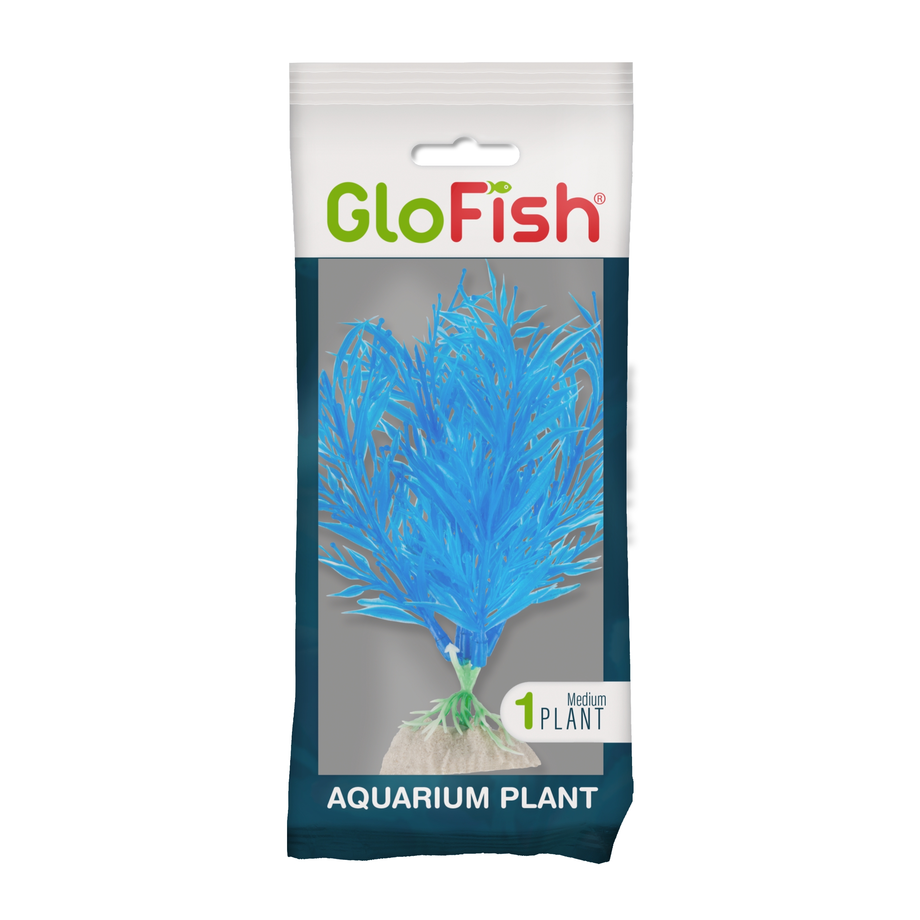 Blue Medium Plant in Package 
