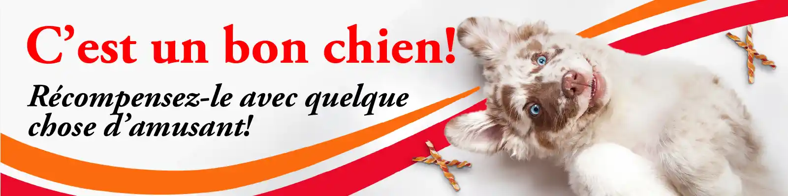 C'est un bon chien!