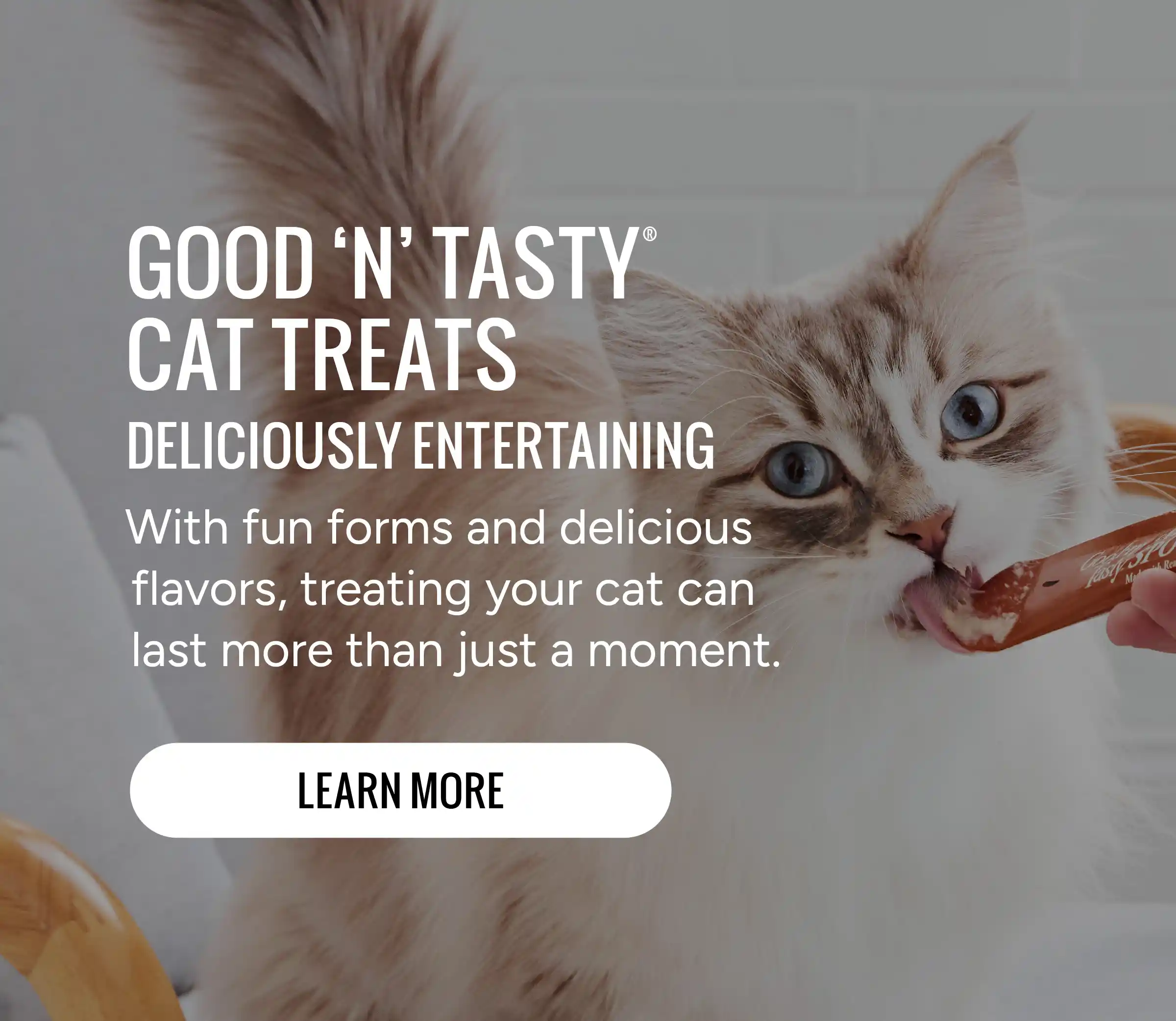 Good'n'Tasty Cat Treats. Deliciously Entertaining. Learn More.
