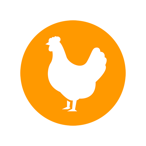 Chicken - Give your pup delicious, long-lasting chews made with real chicken for a savory taste dogs will love!