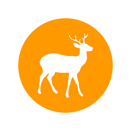 Venison - Get your dog’s tail wagging with the scrumptious taste of real venison