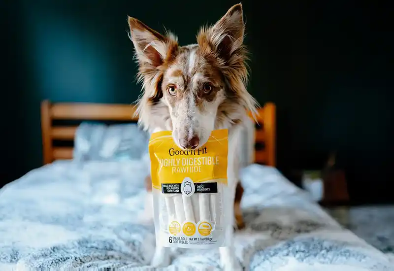 HEALTH-CONSCIOUS 'N' HIGHLY DIGESTIBLE