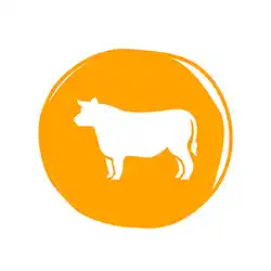 Long-Lasting, Highly Digestible Rawhide