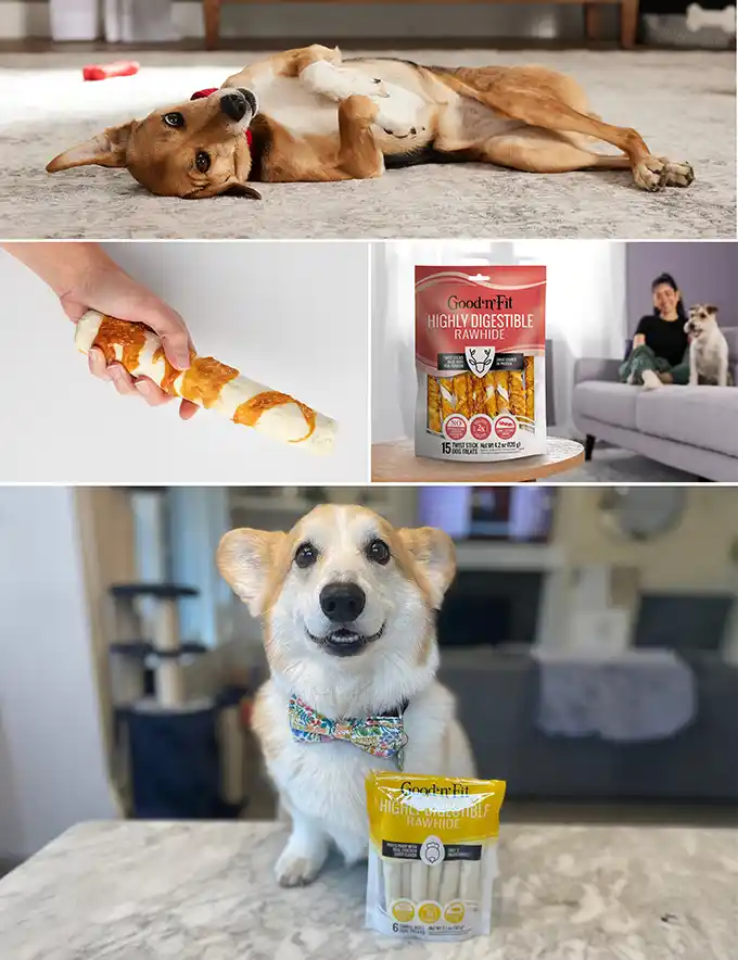 Several photos of dogs with Good'n'Fit treats