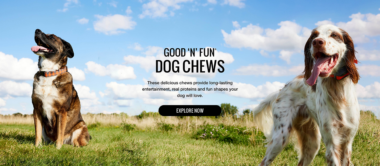 Good 'n' Fun Dog Chews. Explore Now!